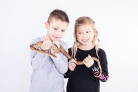 Reptielenfeestje, reptielen kinderfeestje, kinderfeestje, slijm kinderfeestje, kinderfeestje 6 jaar, kinderfeestje 7 jaar, knutsel feestje, kinderfeestje Maassluis, kinderfeestje Westland, kinderfeestje rotterdam, jongens kinderfeestje