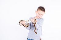 Reptielenfeestje, reptielen kinderfeestje, kinderfeestje, kinderfeestje 5 jaar, kinderfeestje 6 jaar, knutsel feestje, jongens feestje, kinderfeestje Maassluis, kinderfeestje westland, kinderfeestje vlaardingen, jongens kinderfeestje, slijm feestje